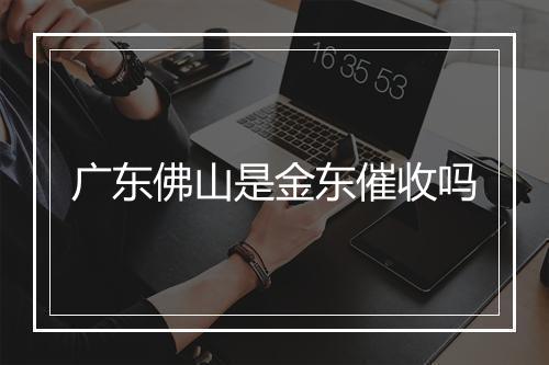 广东佛山是金东催收吗