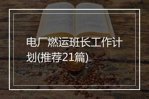电厂燃运班长工作计划(推荐21篇)