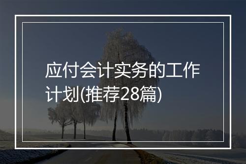 应付会计实务的工作计划(推荐28篇)
