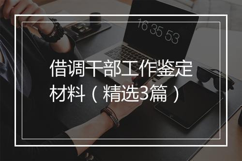 借调干部工作鉴定材料(精选3篇)