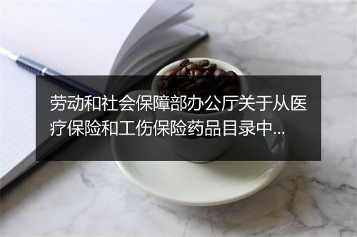 劳动和社会保障部办公厅关于从医疗保险和工伤保险药品目录中删除