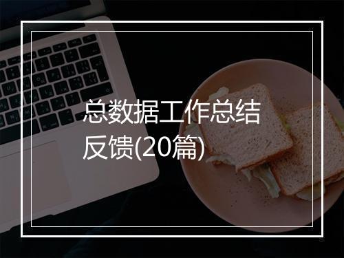 总数据工作总结反馈(20篇)