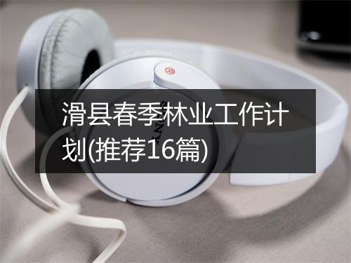 滑县春季林业工作计划(推荐16篇)