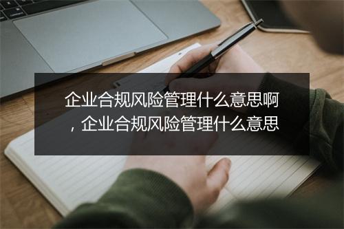 企业合规风险管理什么意思啊,企业合规风险管理什么意思