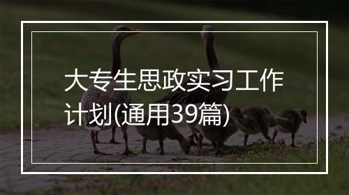 大专生思政实习工作计划(通用39篇)