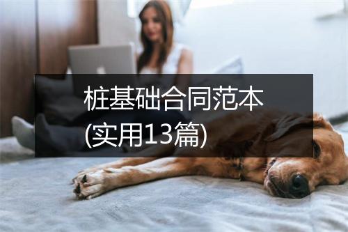 桩基础合同范本(实用13篇)