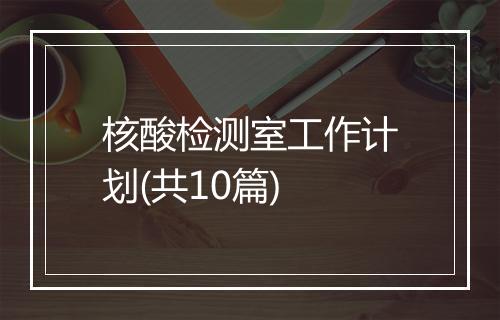 核酸检测室工作计划(共10篇)