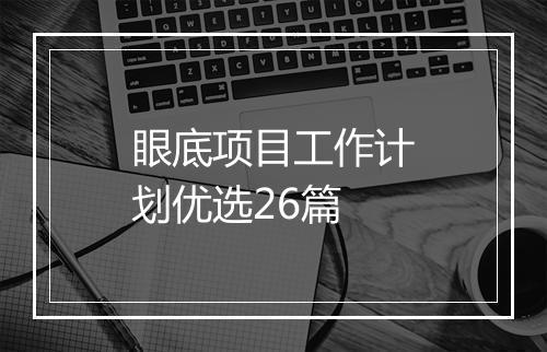 眼底项目工作计划优选26篇
