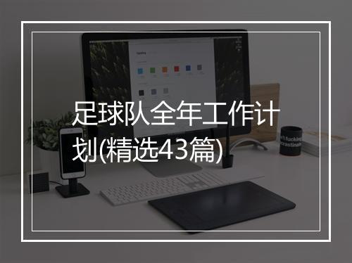 足球队全年工作计划(精选43篇)