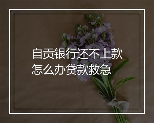 自贡银行还不上款怎么办贷款救急