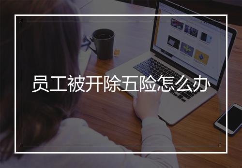 员工被开除五险怎么办