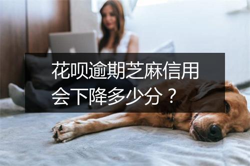 花呗逾期芝麻信用会下降多少分?