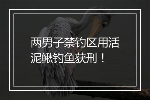 两男子禁钓区用活泥鳅钓鱼获刑!