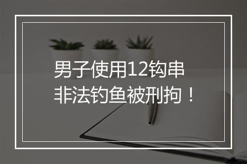 男子使用12钩串非法钓鱼被刑拘!