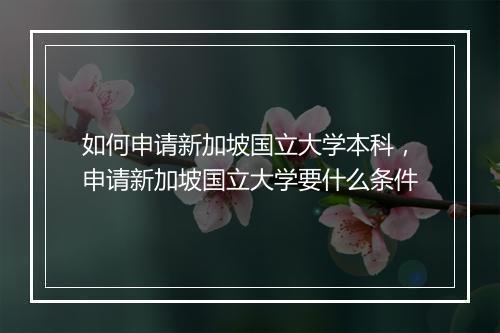 如何申请新加坡国立大学本科,申请新加坡国立大学要什么条件