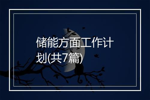 储能方面工作计划(共7篇)