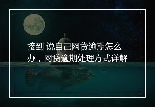 接到 说自己网贷逾期怎么办,网贷逾期处理方式详解