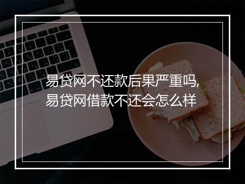 易贷网不还款后果严重吗,易贷网借款不还会怎么样