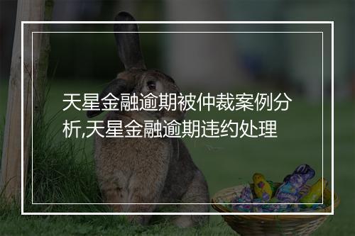 天星金融逾期被仲裁案例分析,天星金融逾期违约处理