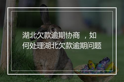湖北欠款逾期协商 ,如何处理湖北欠款逾期问题