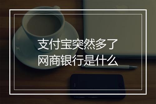 支付宝突然多了网商银行是什么