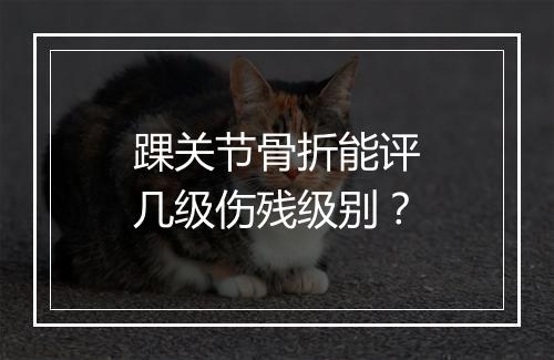 踝关节骨折能评几级伤残级别?