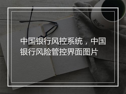 中国银行风控系统,中国银行风险管控界面图片