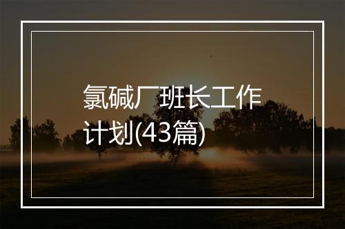 氯碱厂班长工作计划(43篇)