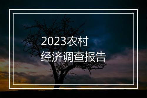 2023农村经济调查报告