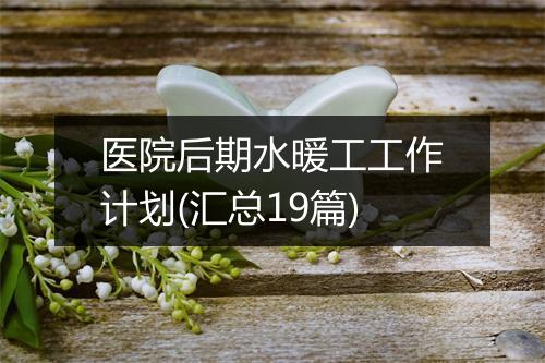 医院后期水暖工工作计划(汇总19篇)