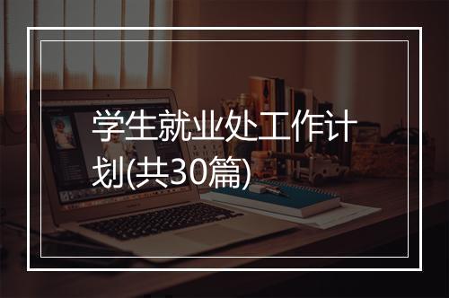 学生就业处工作计划(共30篇)