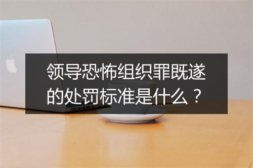 领导恐怖组织罪既遂的处罚标准是什么?
