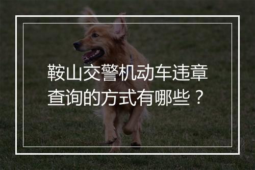 鞍山交警机动车违章查询的方式有哪些?