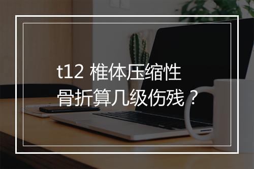 t12 椎体压缩性骨折算几级伤残?
