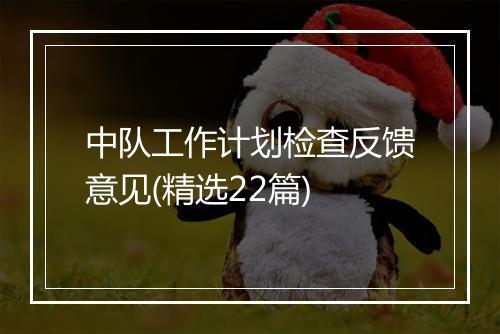 中队工作计划检查反馈意见(精选22篇)