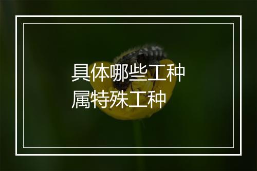 具体哪些工种属特殊工种