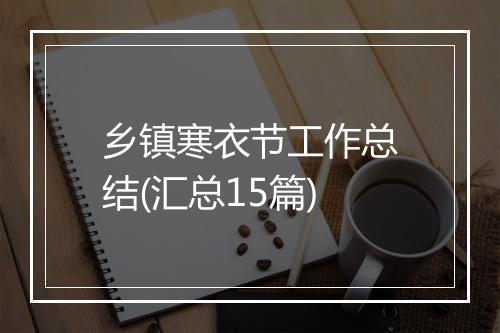 乡镇寒衣节工作总结(汇总15篇)