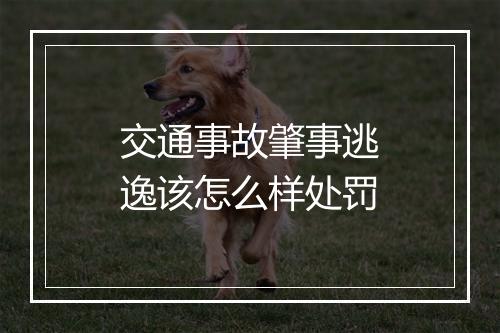 交通事故肇事逃逸该怎么样处罚