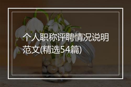 个人职称评聘情况说明范文(精选54篇)