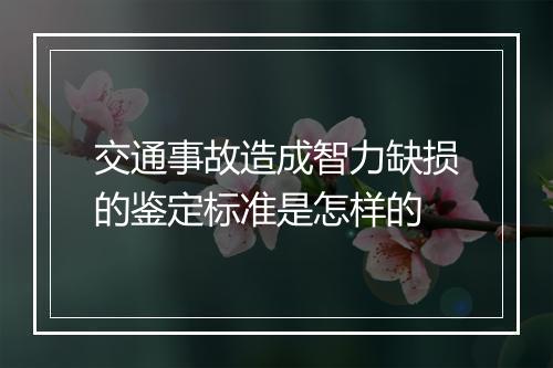 交通事故造成智力缺损的鉴定标准是怎样的