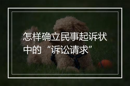 怎样确立民事起诉状中的“诉讼请求”