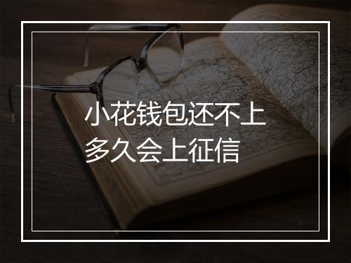 小花钱包还不上多久会上征信