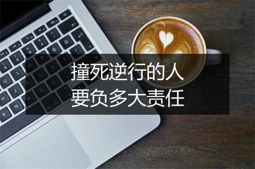 撞死逆行的人要负多大责任