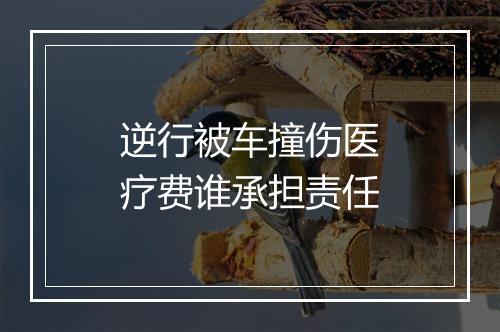 逆行被车撞伤医疗费谁承担责任