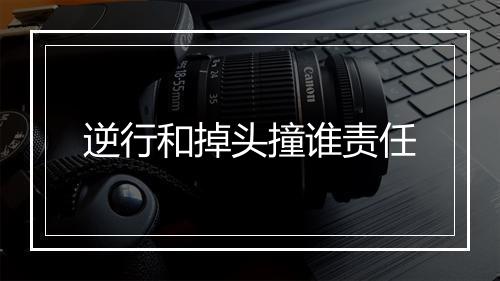 逆行和掉头撞谁责任