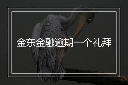 金东金融逾期一个礼拜