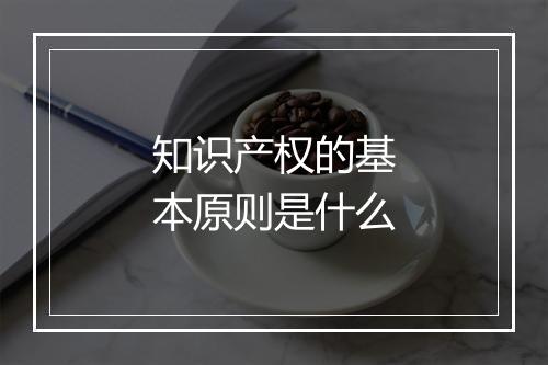 知识产权的基本原则是什么