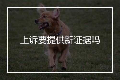 上诉要提供新证据吗