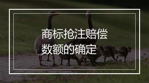 商标抢注赔偿数额的确定
