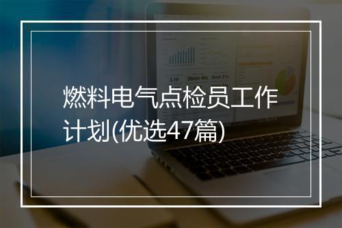燃料电气点检员工作计划(优选47篇)